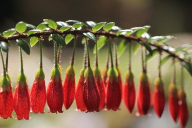 东莞万江私人快速借钱网，轻松解决资金难题