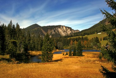 东莞万江民间私贷攻略：揭秘低成本借贷的秘密