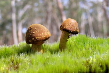 东莞万江私人老板放款：轻松融资的秘密通道